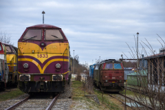 DSC_7990