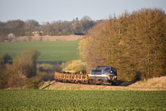DSC_8991