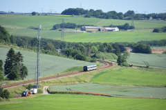 DSC_2973