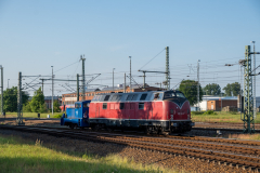 SMM_3384