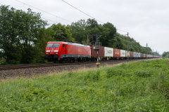 SMM_4273