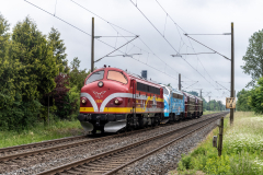 SMM_2231