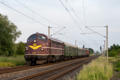 SMM_2576