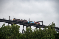 SMM_4488