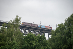SMM_4496