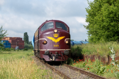 SMM_3723