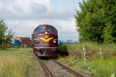 SMM_3735