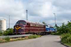 SMM_3805