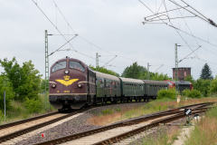 SMM_3918