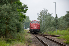 SMM_3971