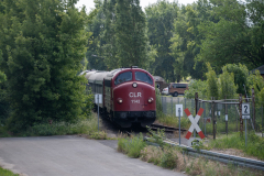 SMM_4137