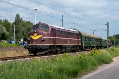 SMM_4182