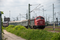 SMM_4188