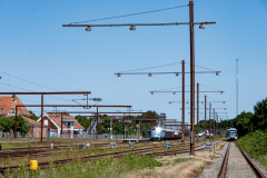 SMM_9542