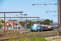 SMM_9551