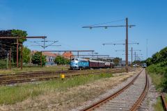 SMM_9557