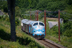 SMM_9588