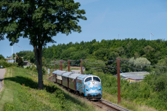 SMM_9594
