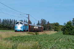 SMM_9675
