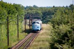 SMM_9683