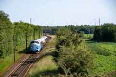 SMM_9689