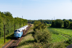 SMM_9692