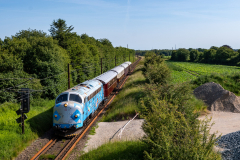 SMM_9698
