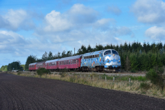DSC_3010-2