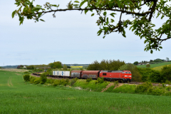 DSC_0748