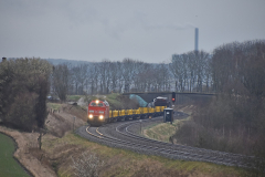 DSC_6375