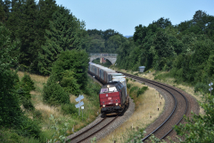 DSC_9480