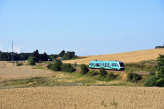 DSC_8395