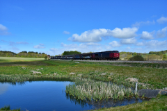 DSC_9737-1