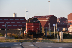 DSC_1717