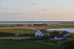 DSC_1726