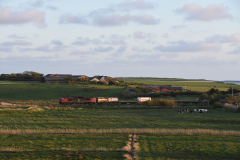 DSC_1729