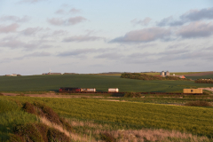 DSC_1743
