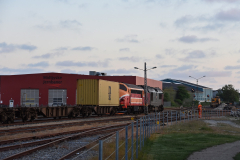 DSC_1773