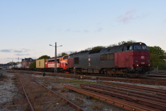 DSC_1775