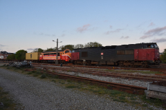 DSC_1778