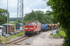SMM_4597