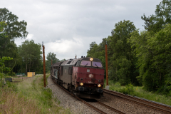 SMM_4657