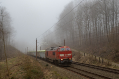 SMM_4831