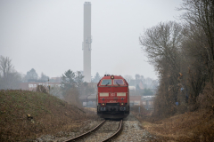 SMM_4851