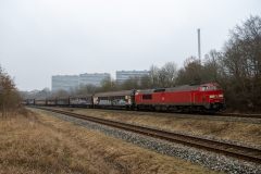 SMM_4882