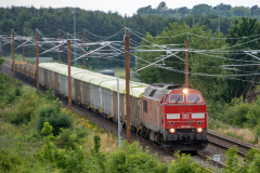 SMM_5219