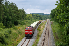 SMM_5263