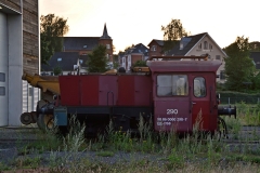 DSC_2009