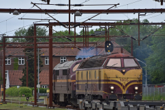 DSC_3521