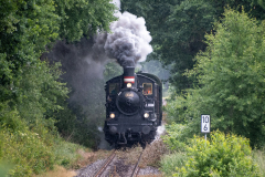 SMM_8595